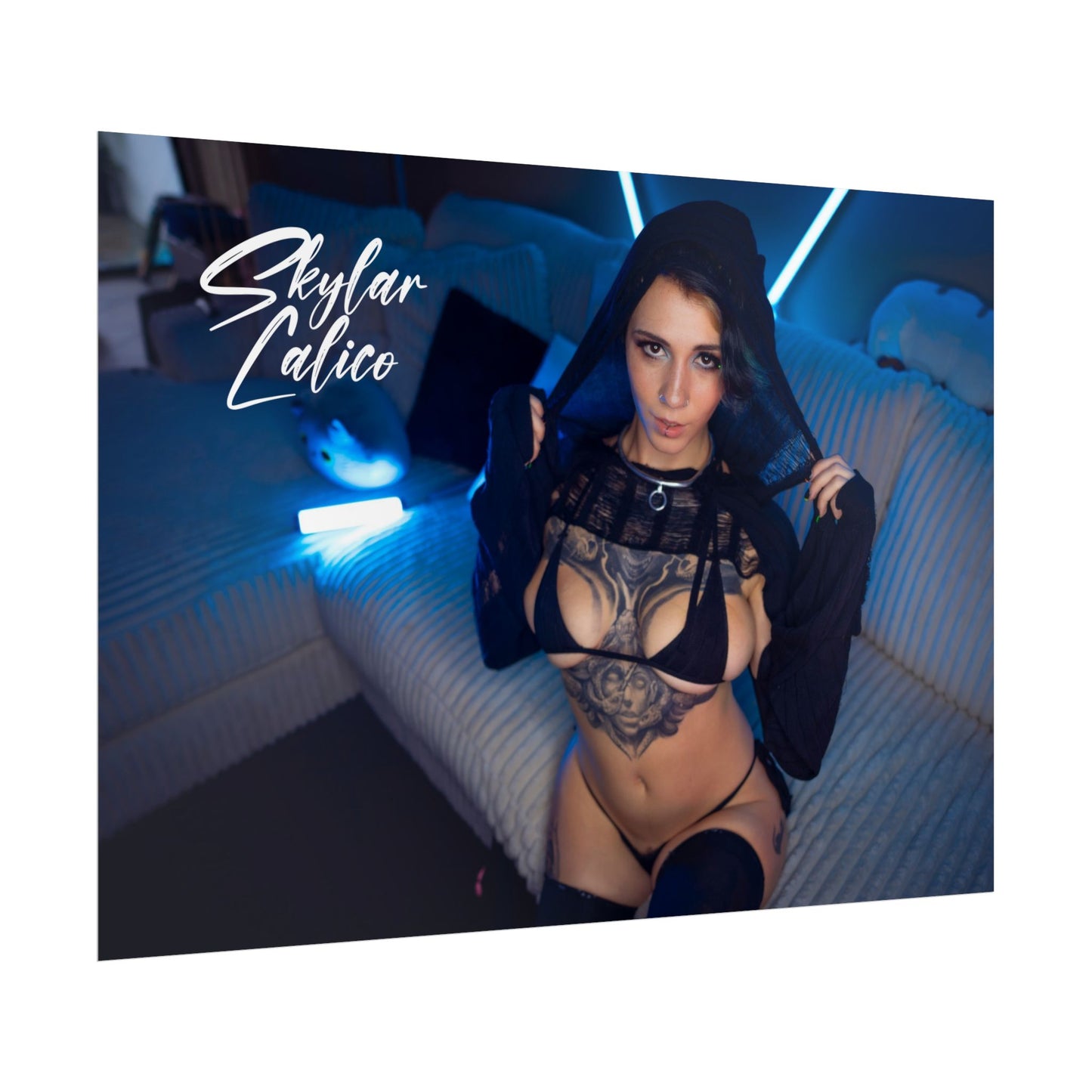 Hoodie Rolled Posters