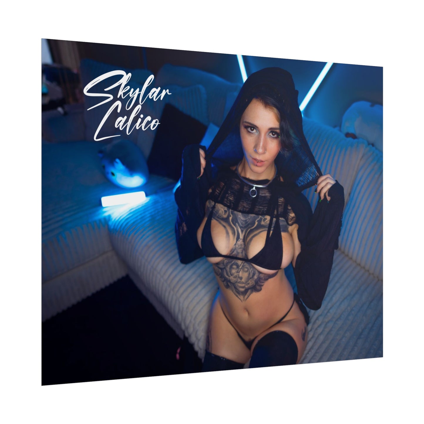 Hoodie Rolled Posters