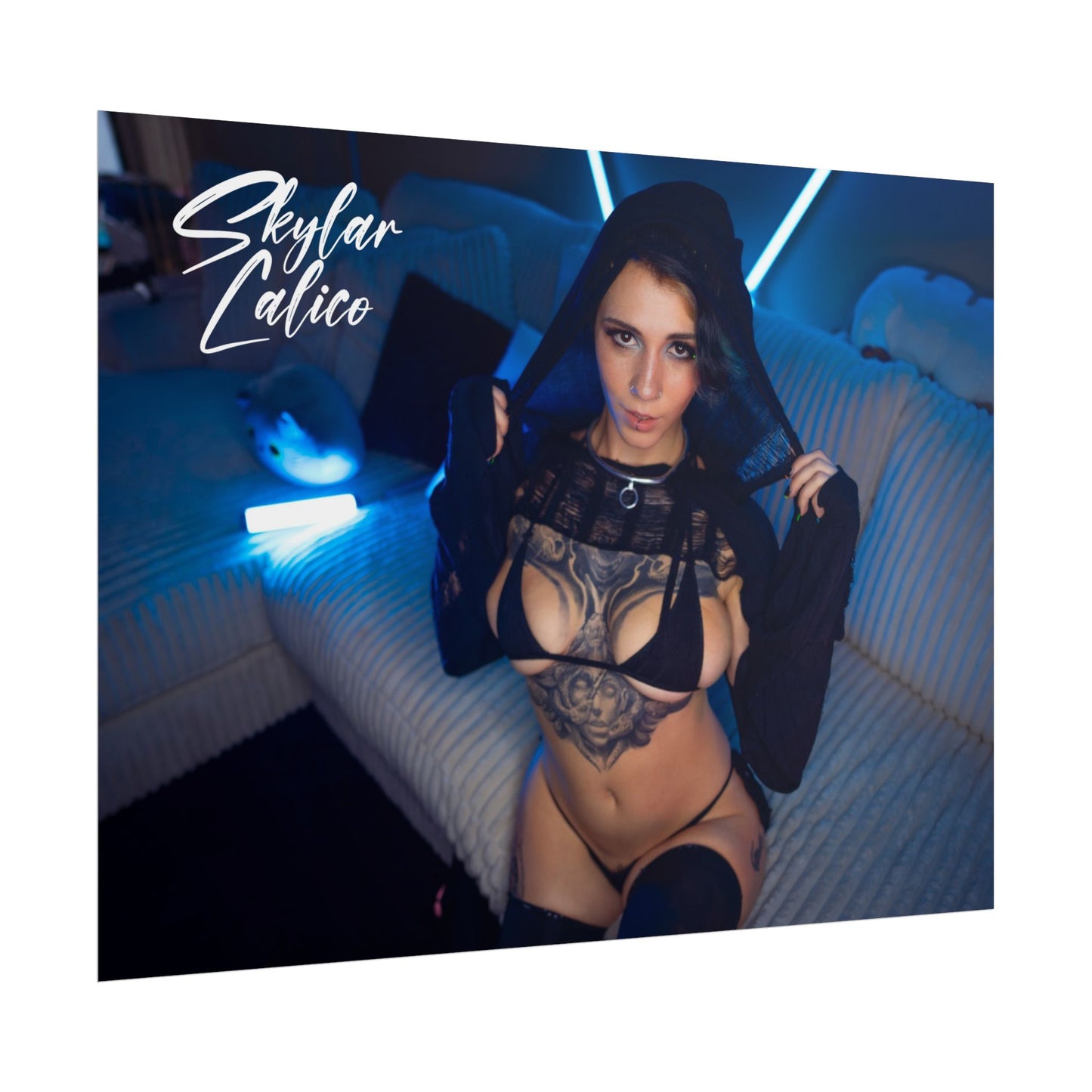 Hoodie Rolled Posters