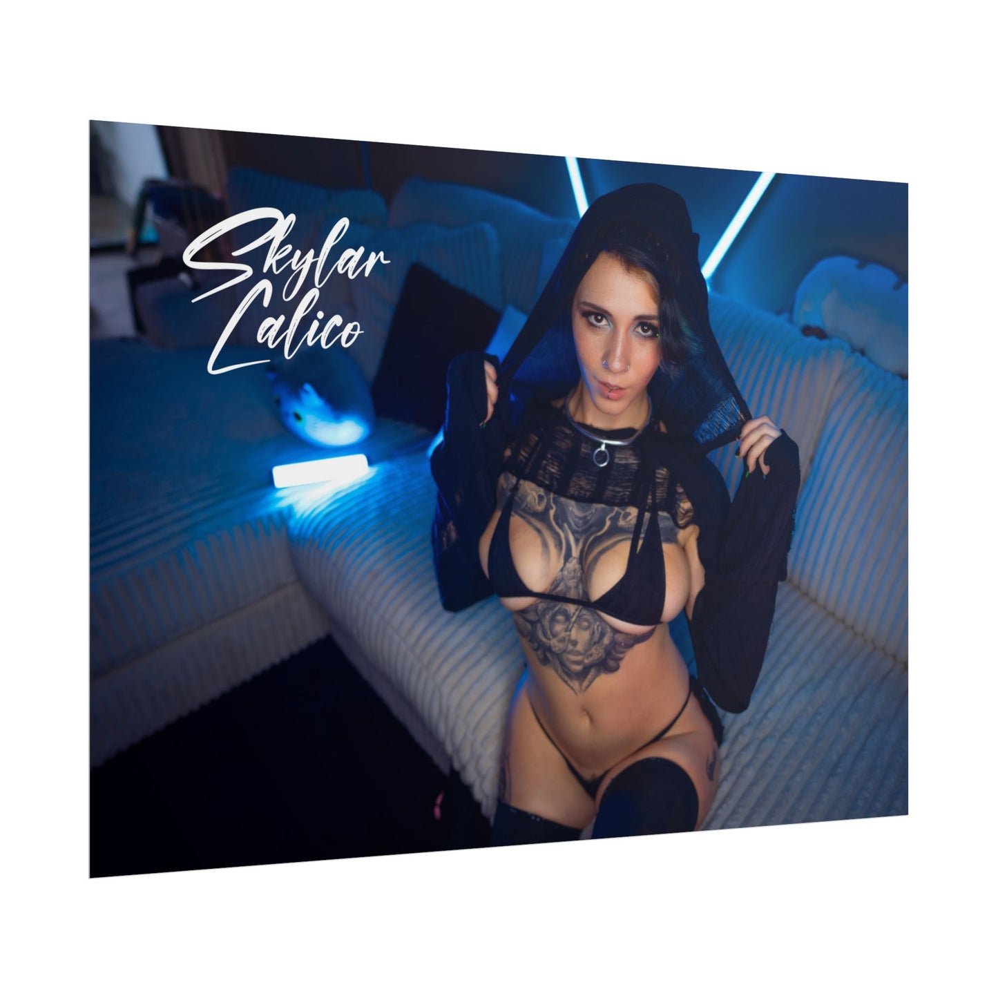 Hoodie Rolled Posters