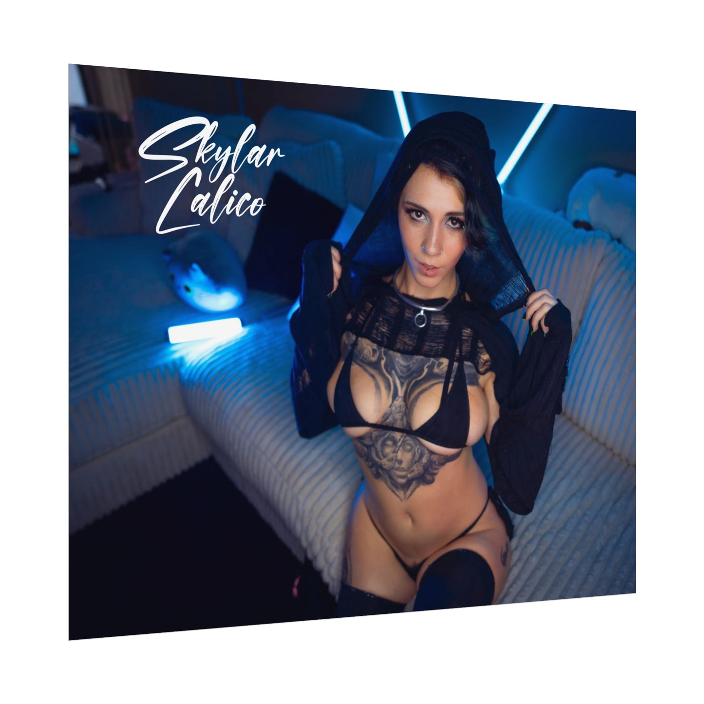 Hoodie Rolled Posters
