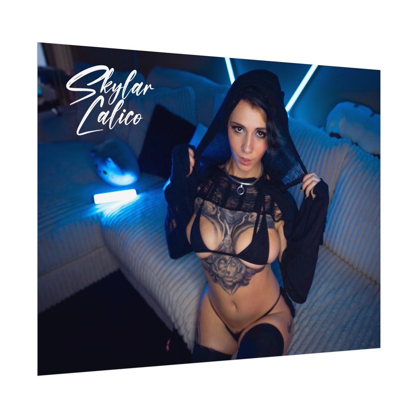 Hoodie Rolled Posters