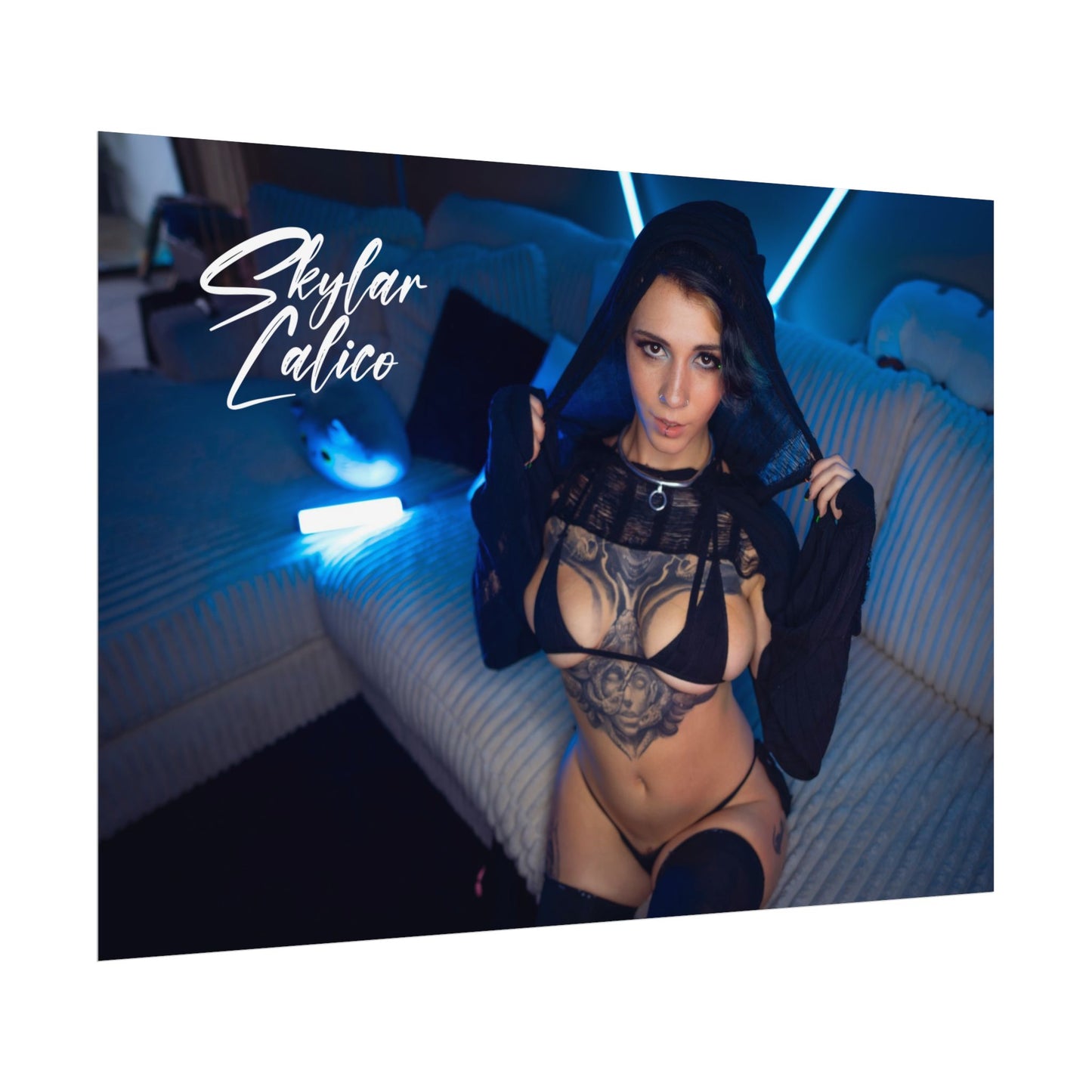 Hoodie Rolled Posters