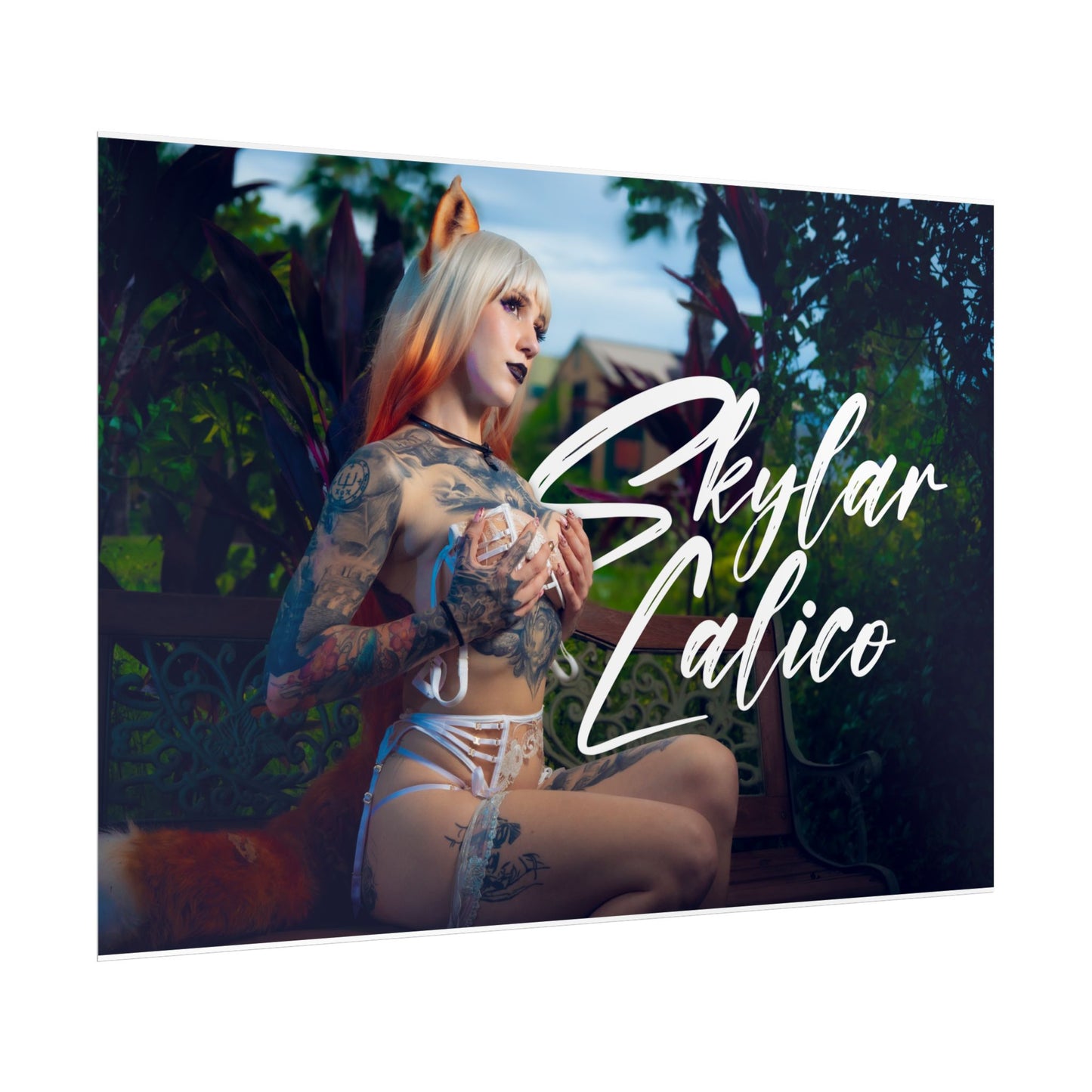 White Fox Horizontal Posters