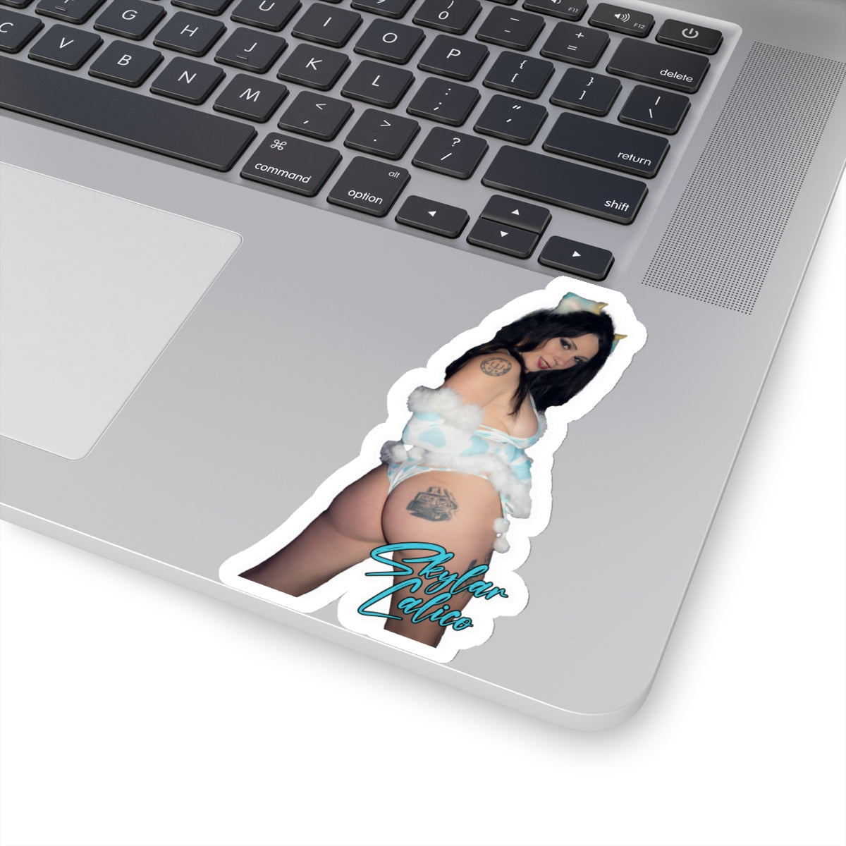 Cowgirl Kiss-Cut Stickers